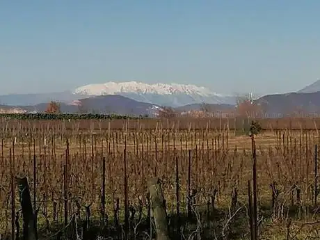 Photo de Parco del Monte Netto