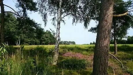Photo de Grambeker Heide