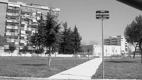 Photo de Parco Domenico Rosa Rosa