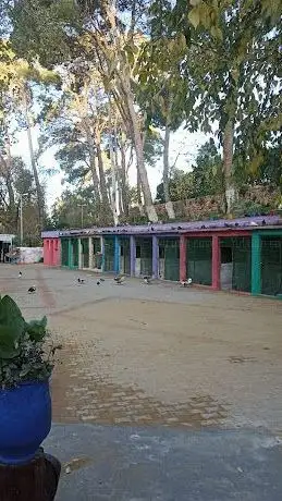 Photo de Jardin Public