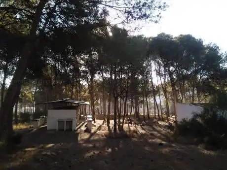 Photo de Campament municipal Les Escales