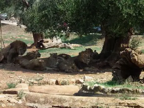 Photo de Area delle Tigri