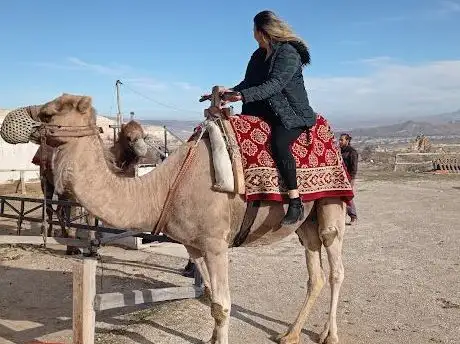 Photo de SAVRAN Camel Safari