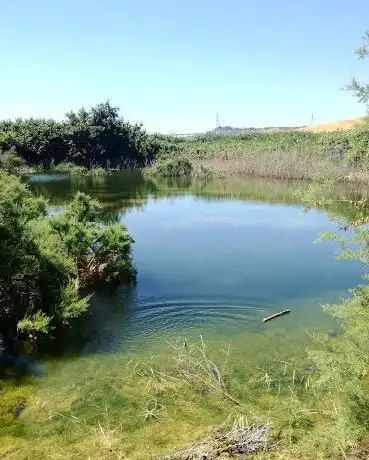 Photo de Riserva Naturale Orientata Foce del fiume Belice