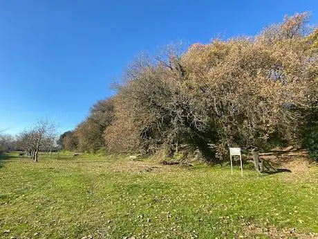 Photo de Bosco di Montecchio