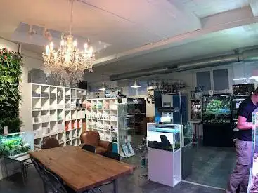 Photo de AEP Concept Sàrl / Swiss Aqua Shop