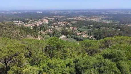 Photo de Miradouro de Caifaz