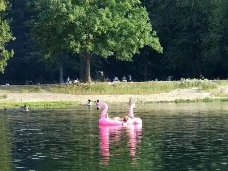 Photo de Wasserpark Dove-Elbe