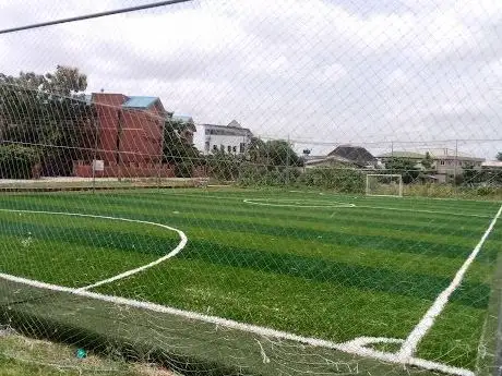 Photo de AstroTurf Pitch