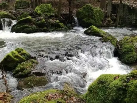 Photo de Kemnitzbach