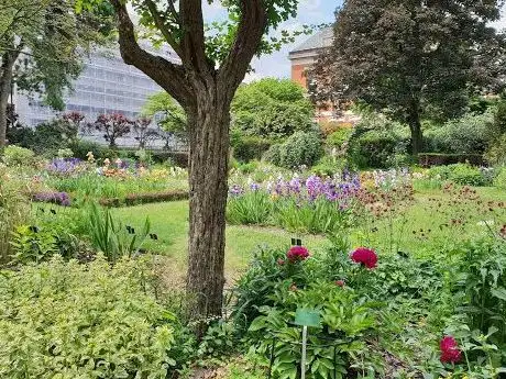 Photo de Jardin d'iris et de plantes vivaces