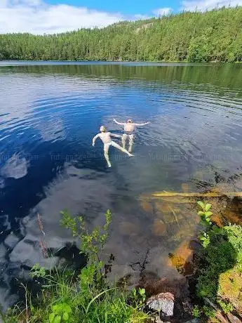 Photo de Lake Balestjärnen