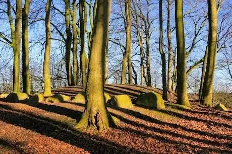 Photo de Hügelgrab Langenbek