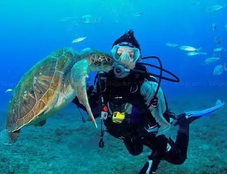 Photo de OKEANOS