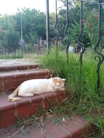 Photo de Alparslan Çocuk Parkı