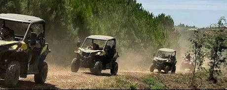 Photo de Mountain AdvenTours - Tour Buggy