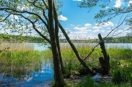 Photo de Grosser Klobichsee