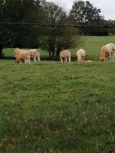 Photo de Accès au Véloroute (Wasquehal, Lamartine)