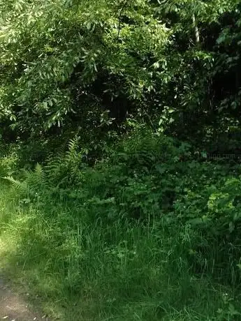 Photo de Réserve naturelle de Marcasse et alentours