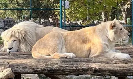 Photo de Zoo de Belgrade