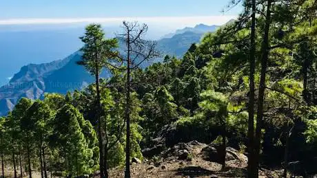 Photo de La 365 Trail