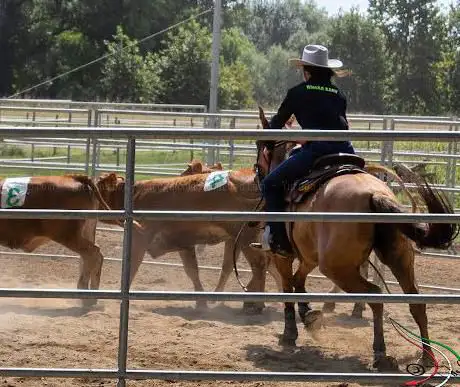 Photo de Vale Ranch asd