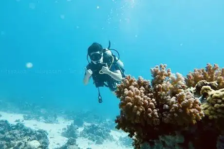Photo de Muji tour diving