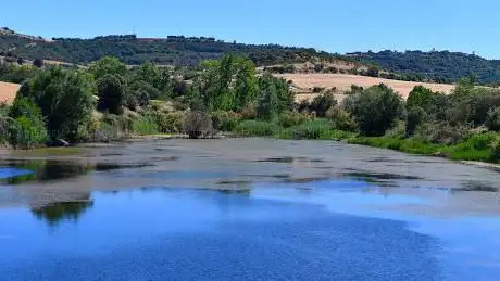Photo de Bassa de Palouet