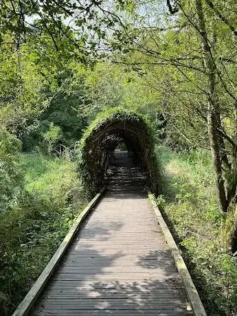 Photo de Wishing Steps (Céimeanna ar mian leo)