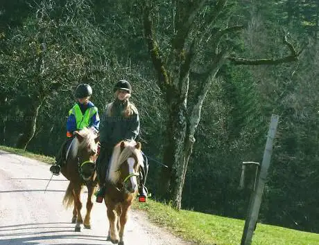 Photo de Pony â€“ ganz nah!