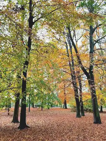 Photo de Parc Kurgarten