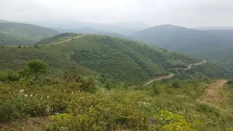 Photo de Kocaeli Kent Ormanı