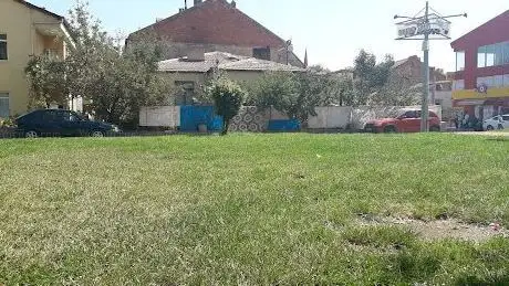 Photo de Green area