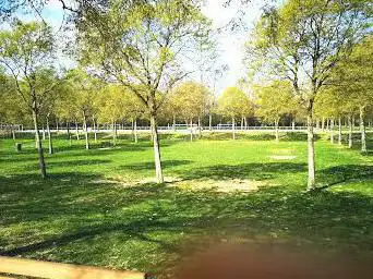 Photo de Parc de la Grande Plaine