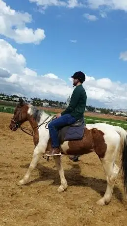 Photo de Clubs d'équitation Rando Cheval