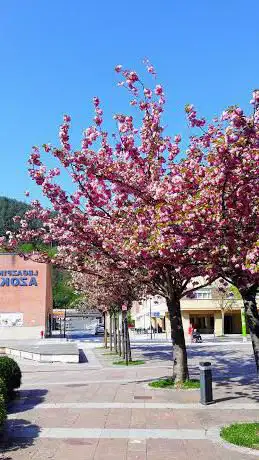 Photo de Plazaolako parkea