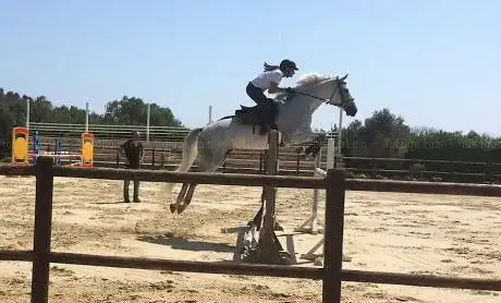 Photo de Scuola Leccese di Equitazione ASD - Ex Dirupo