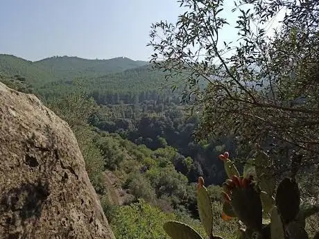 Photo de Settore Servolare (Climbing)