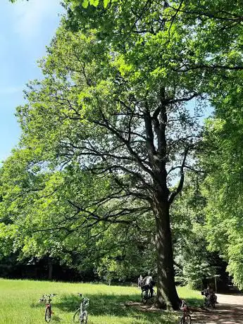 Photo de Fôret Bondy3
