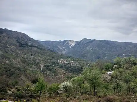 Photo de Frana Colella