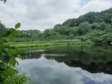 Photo de Makamah Nature Preserve