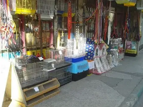 Photo de ŞAHİN PET SHOP BURSA