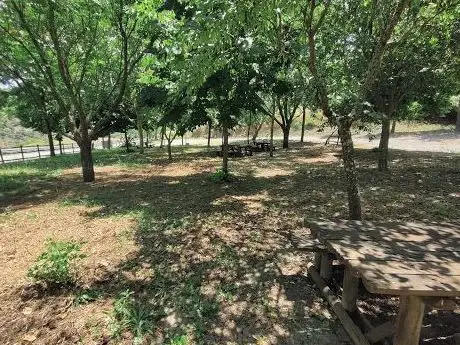 Photo de Parque de merendas da Sra. Da Graça