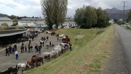 Photo de Marché aux Bestiaux