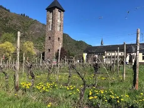 Photo de Weingut Kloster Ebernach