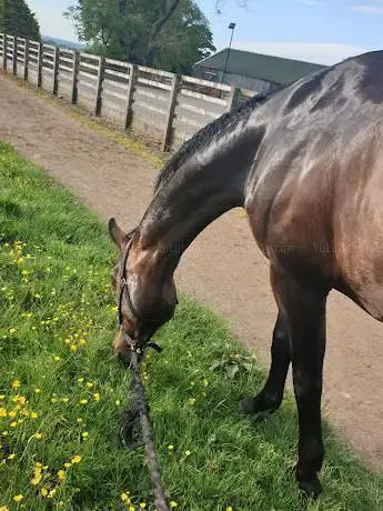 Photo de Thornhill Farm