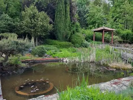Photo de Arboretum Borotín