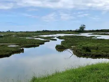 Photo de Ornithological reserve of the Big Bench