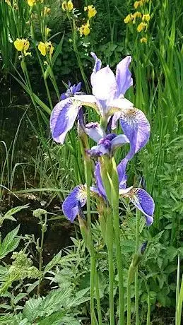 Photo de Margaretaparken