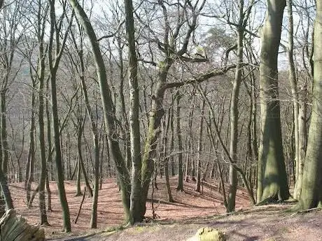 Photo de Obwód Ochronny Wicko Wolińskiego Parku Narodowego